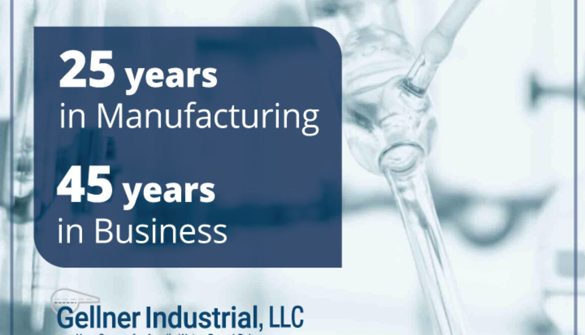 Gellner_25Yeargraphic_timeline_social_Digital__v.2